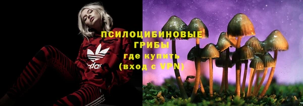MDMA Медногорск