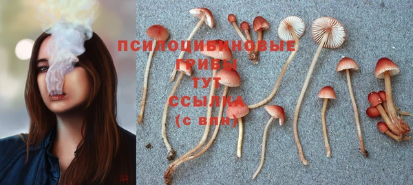 MDMA Медногорск