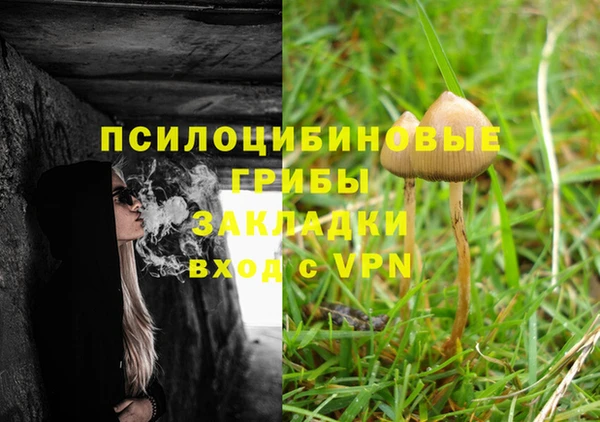 кокс Магас