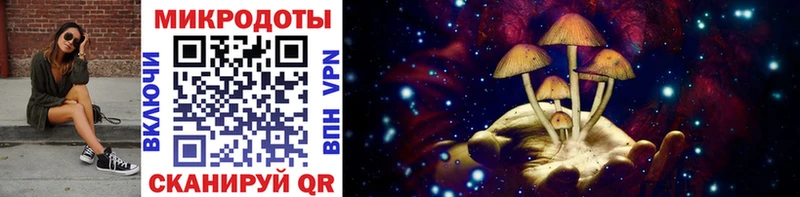 это Telegram  Чадан  Псилоцибиновые грибы Cubensis 
